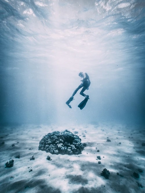 Anguilla Snorkel Dive