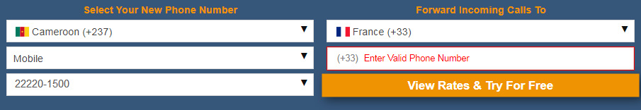 Cameroon Virtual Number Database