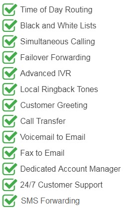 Virtual Phone Number Included Features 