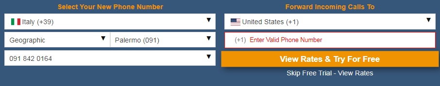 International Virtual Number Database